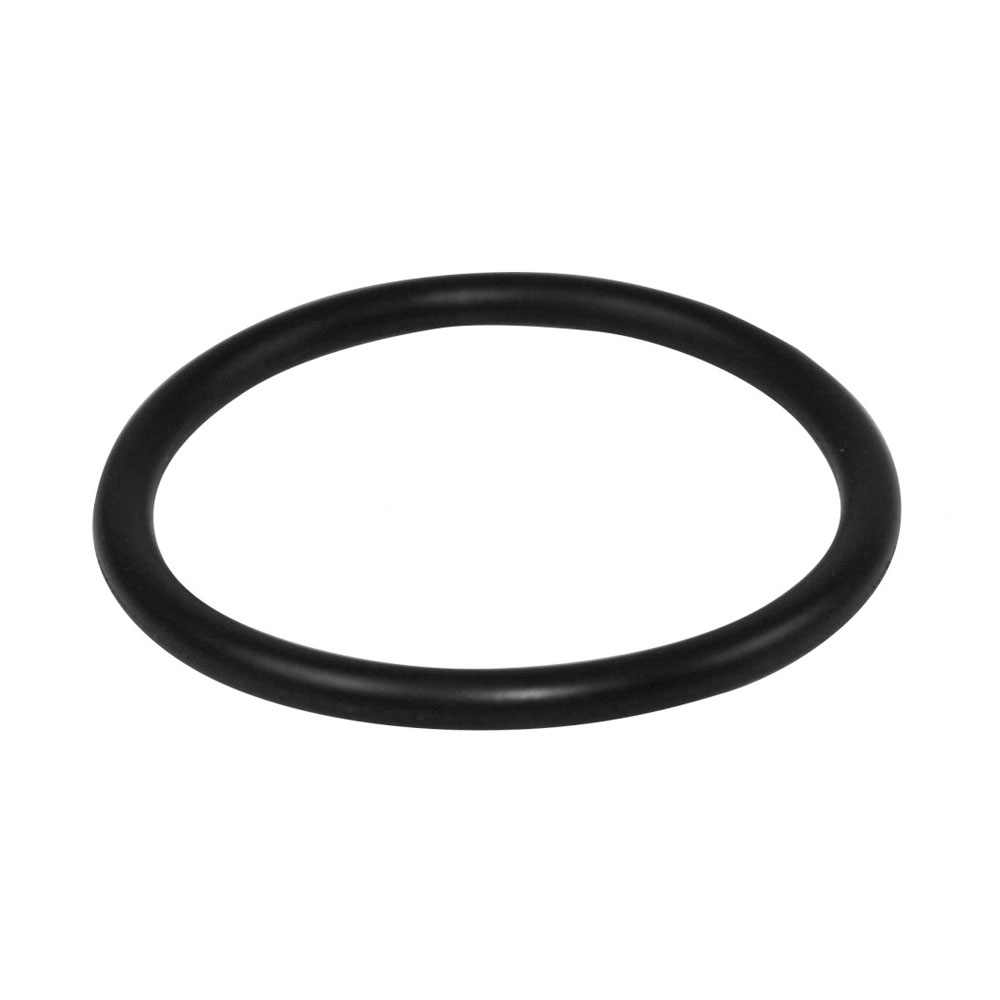 Sloan 5308696 H-553 O-Ring