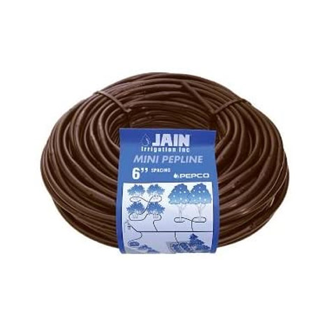 *BROWN MINI PEPLINE 6 SPC