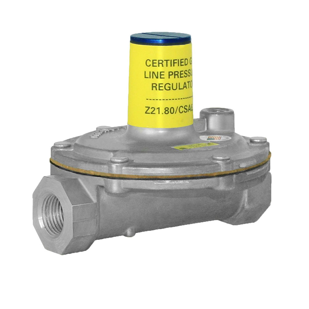 1 GOVERNOR GAS REG W/FLTR