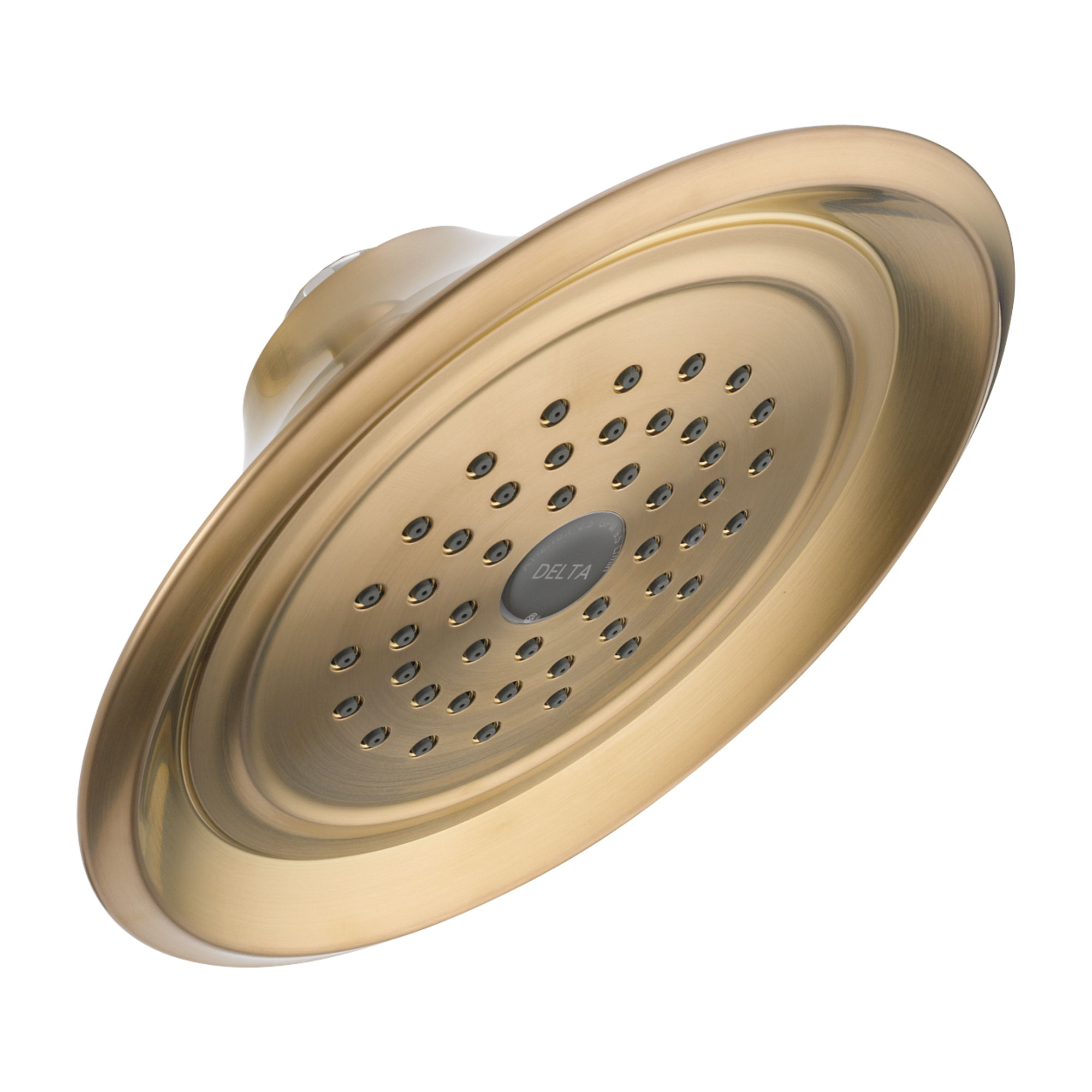 Single-Setting Raincan Shower Head