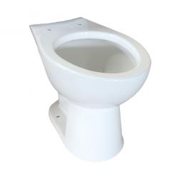 PLUMBER FRIENDLY ADA BOWL