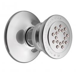 Moen Chrome body spray